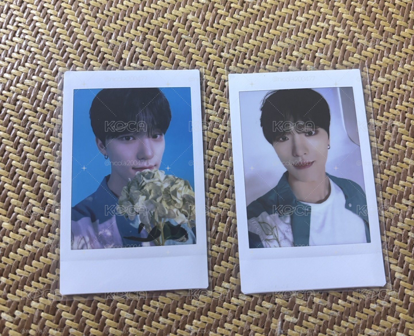 拿花燦