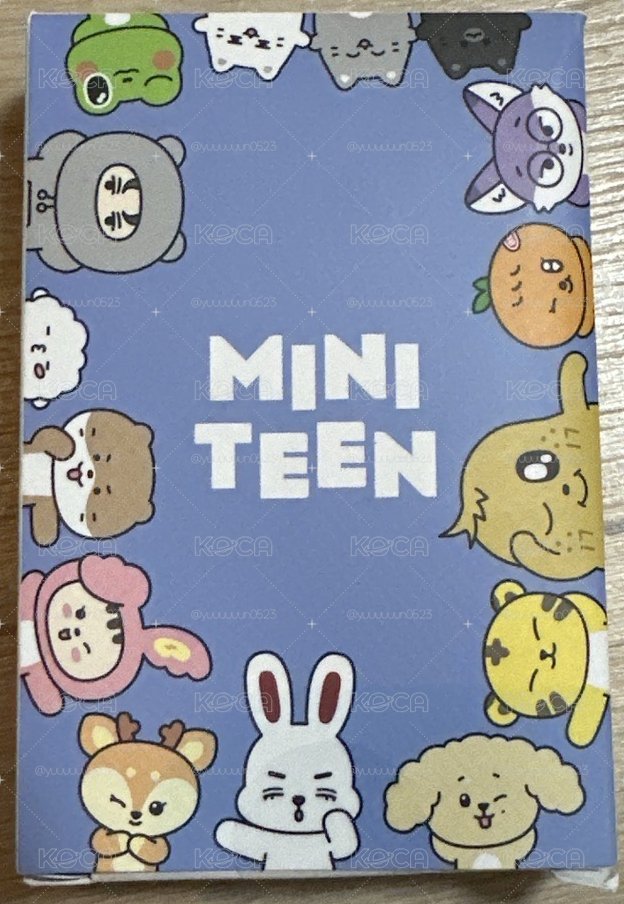 miniteen /成員自製
