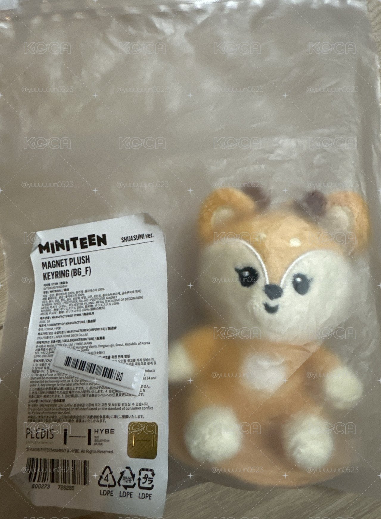 miniteen /成員自製