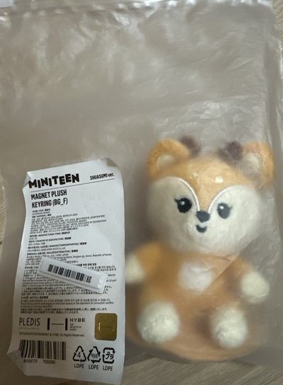 miniteen /成員自製