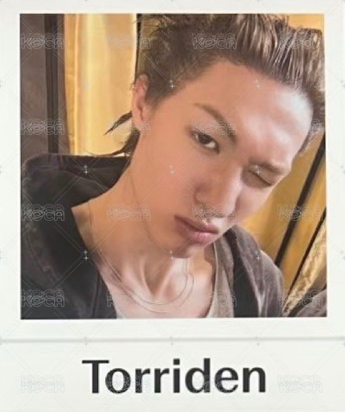 Torriden 代言卡 團卡+馬丁