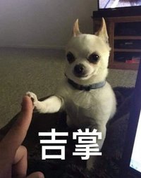 鱈魚🐟