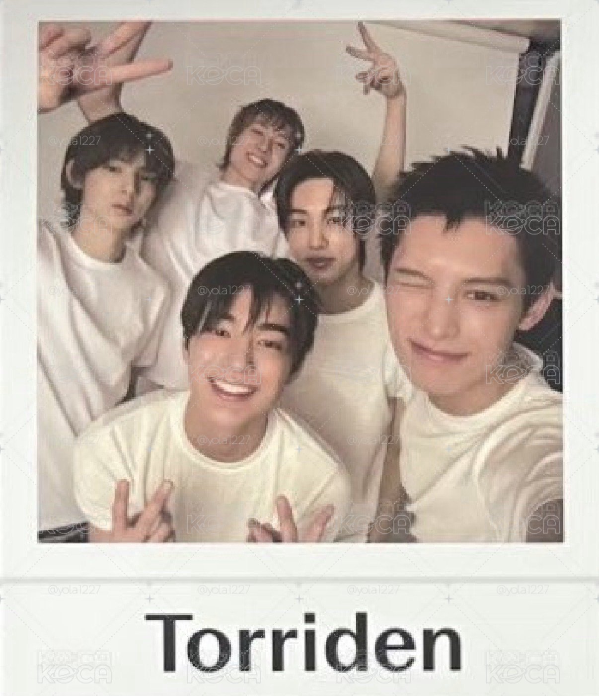 Torriden 小卡整組