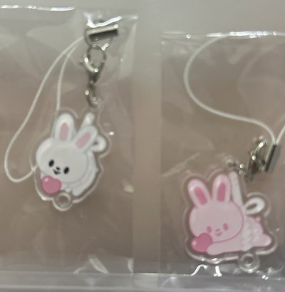 帶兩隻兔子回家吧（勿直接下單）