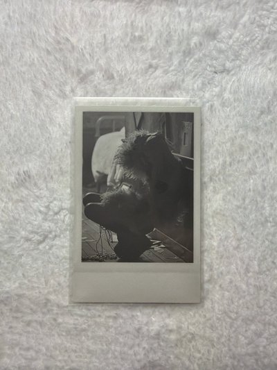 肉卡