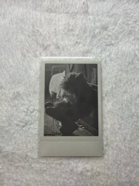 蹲下