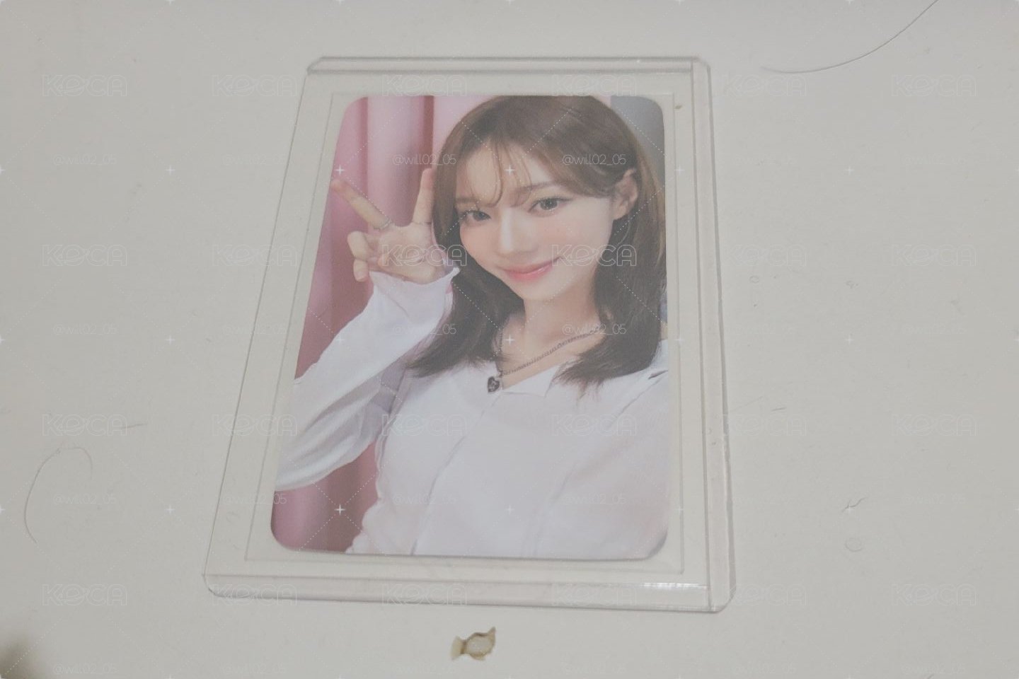 展會冬