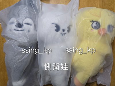 Stray kids 側背娃