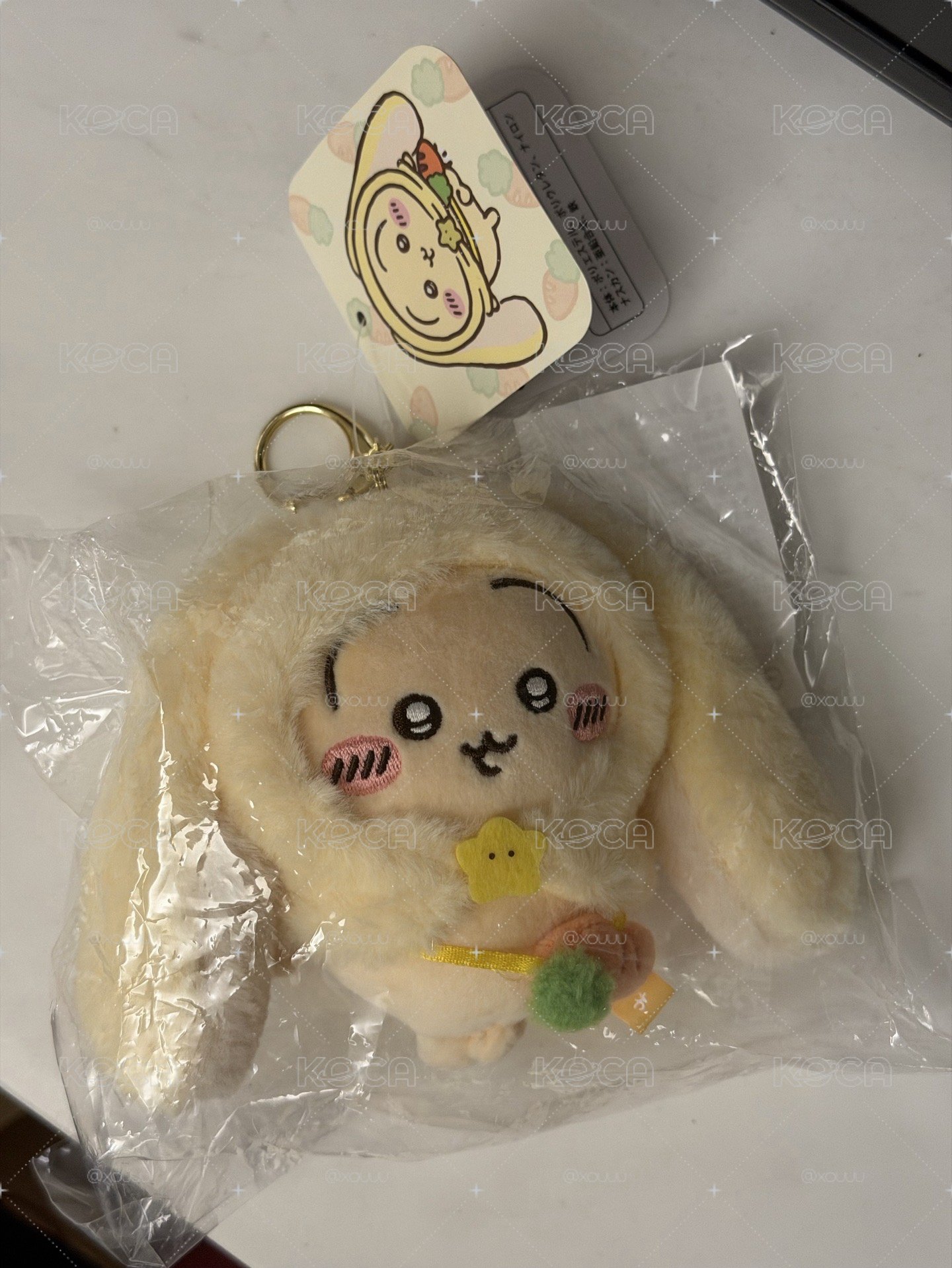 台北常設店垂耳烏薩奇