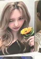 💕向日葵秋