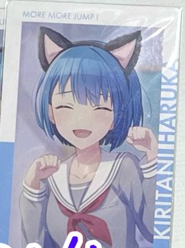 貓耳遙