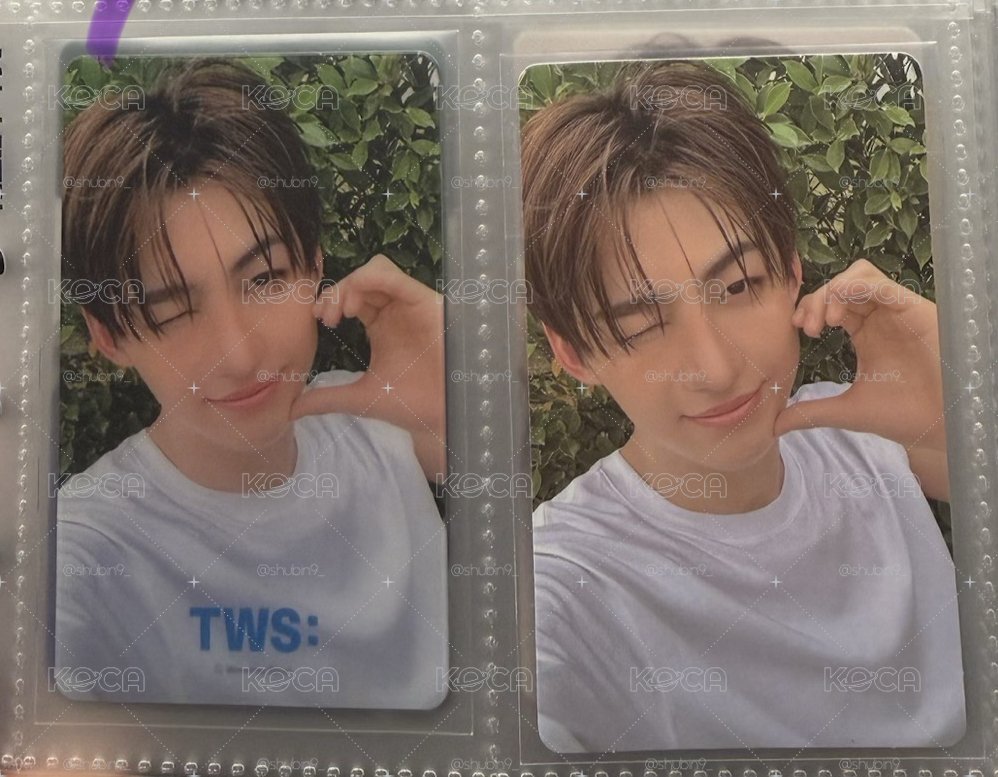 wvs預售 鏡加卡