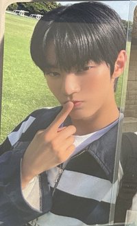 迷二 SN