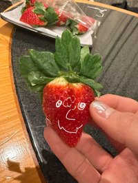 史戳貝哩