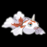 角金魚