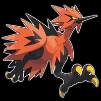伽勒爾閃電鳥
