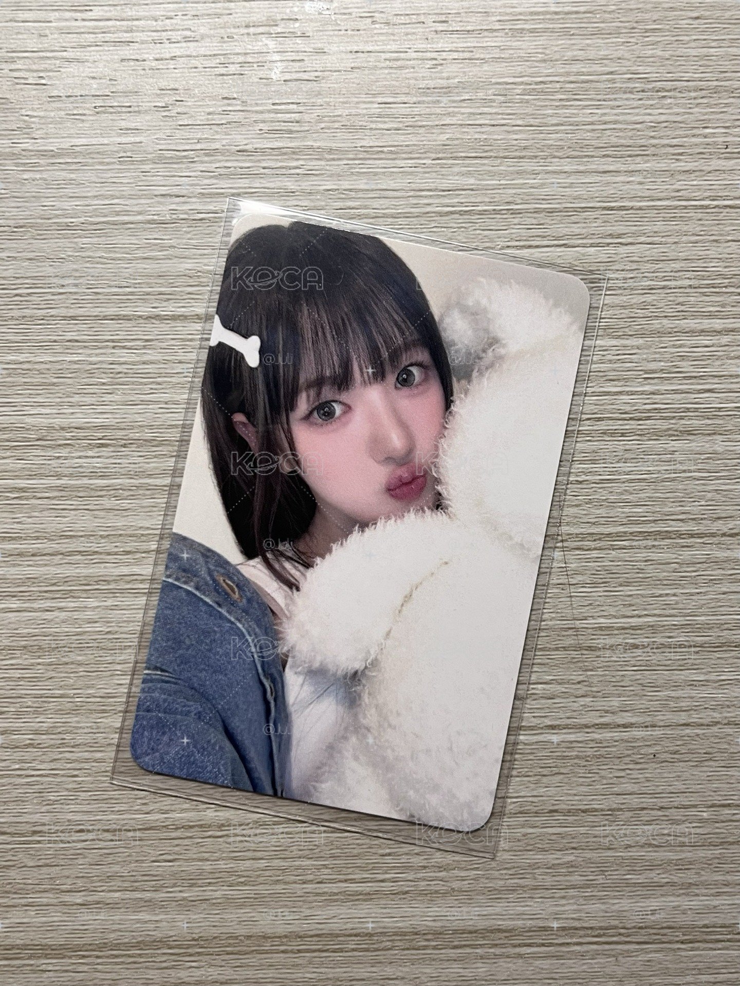 白狗sui 