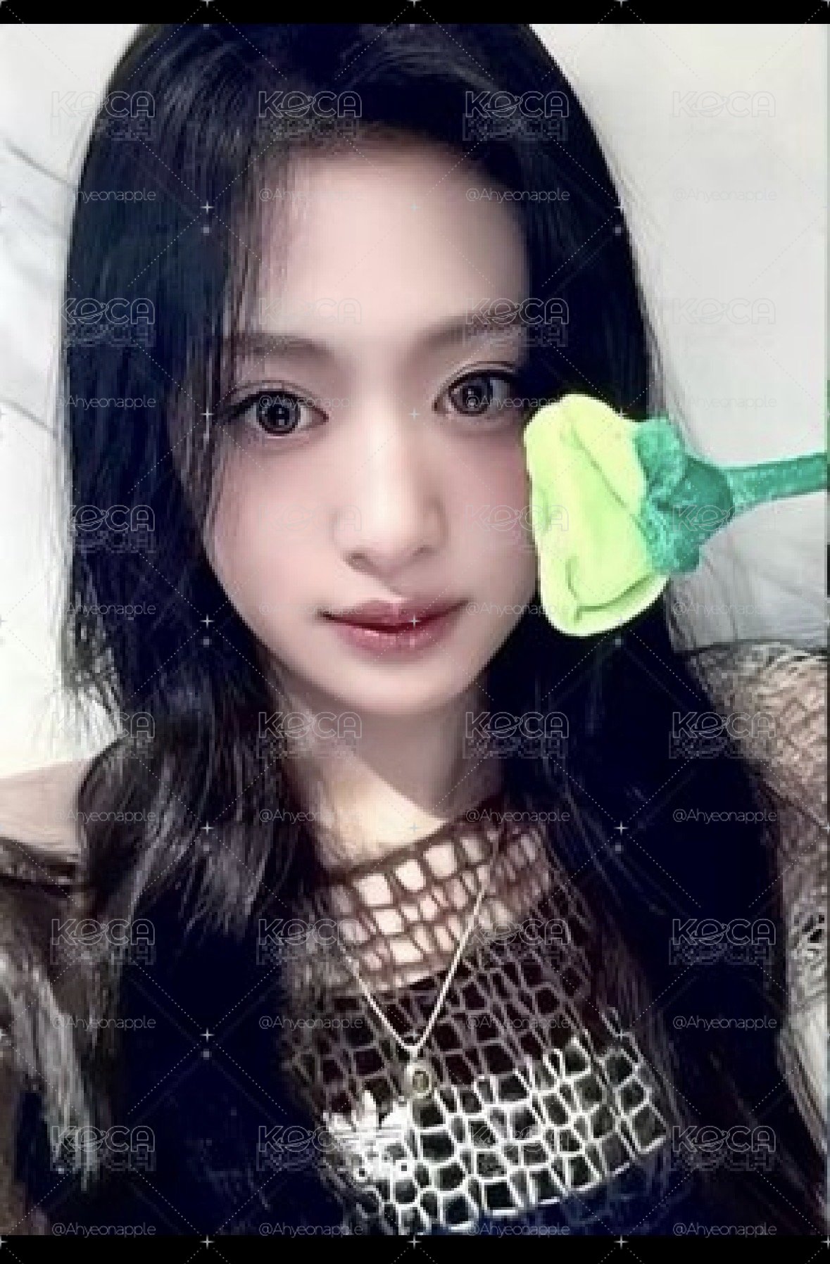 拿花賢