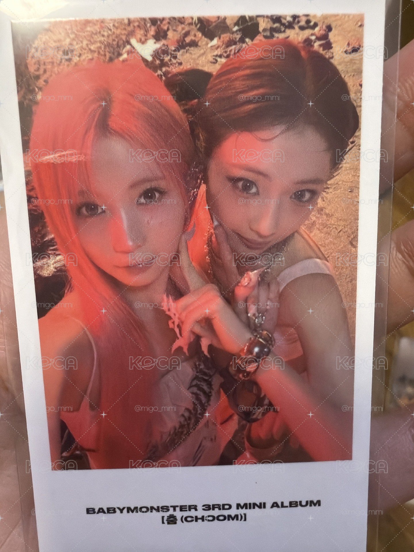 💕早鳥露+角