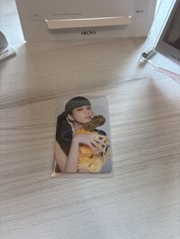 BORN PINK 周邊卡 鐵盒小卡.