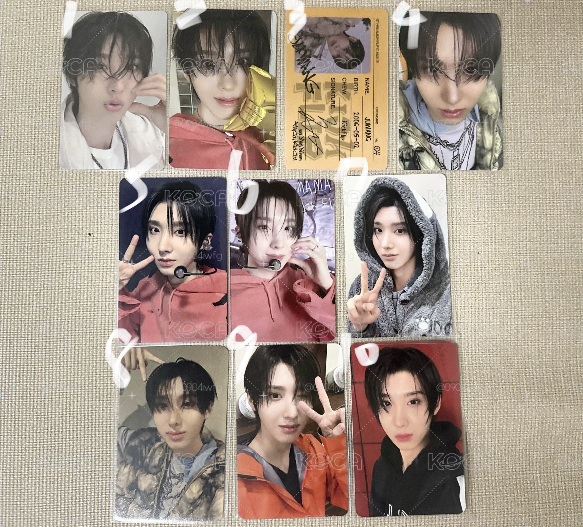 主汪 迷一特典專卡
