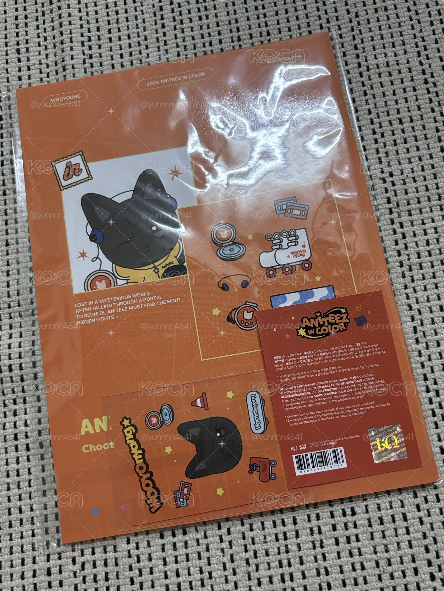 aniteez in color迷你寫真/鄭友榮/全新現貨