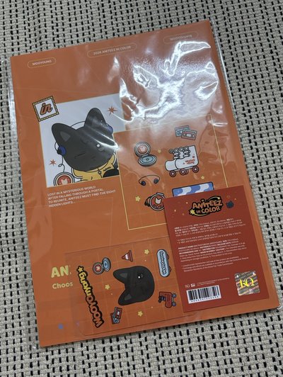 aniteez in color迷你寫真/鄭友榮/全新現貨