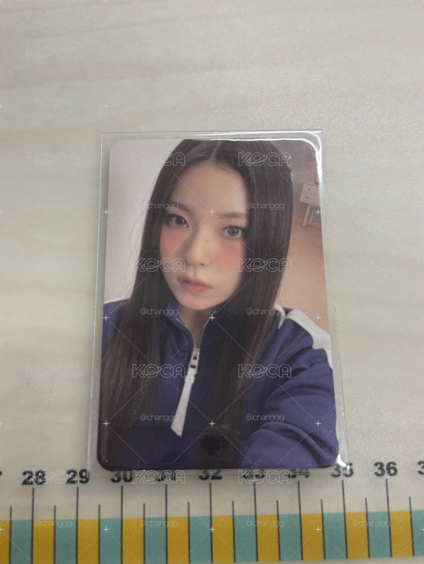 expergo小貓專卡🐱