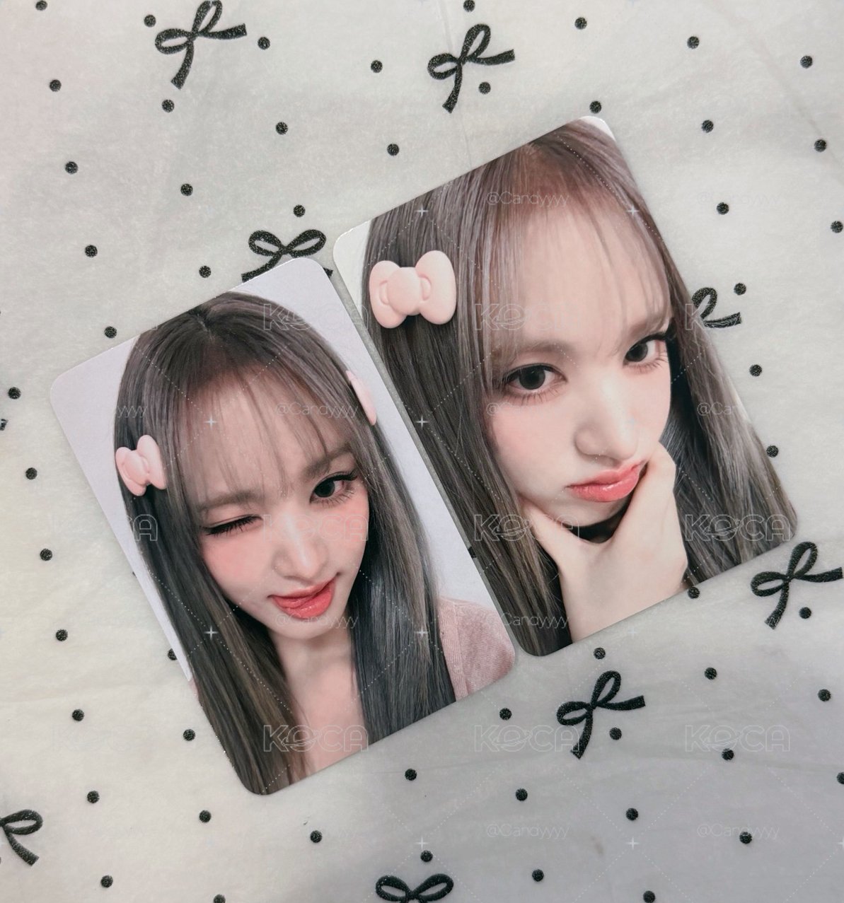 kitty 一套栗