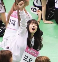hongggg