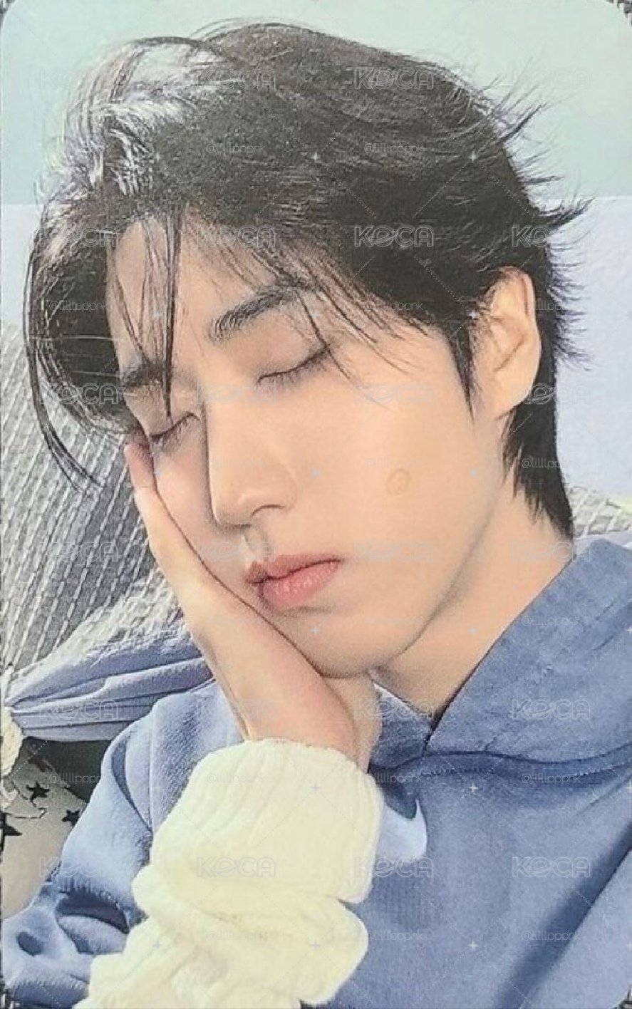 知城睡覺中💤