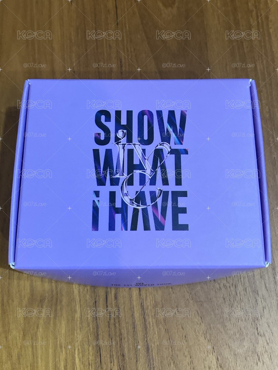 SHOW WHAT I HAVE項鏈含員卡
