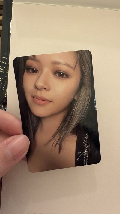 迷 13 專卡 小熊多+定
