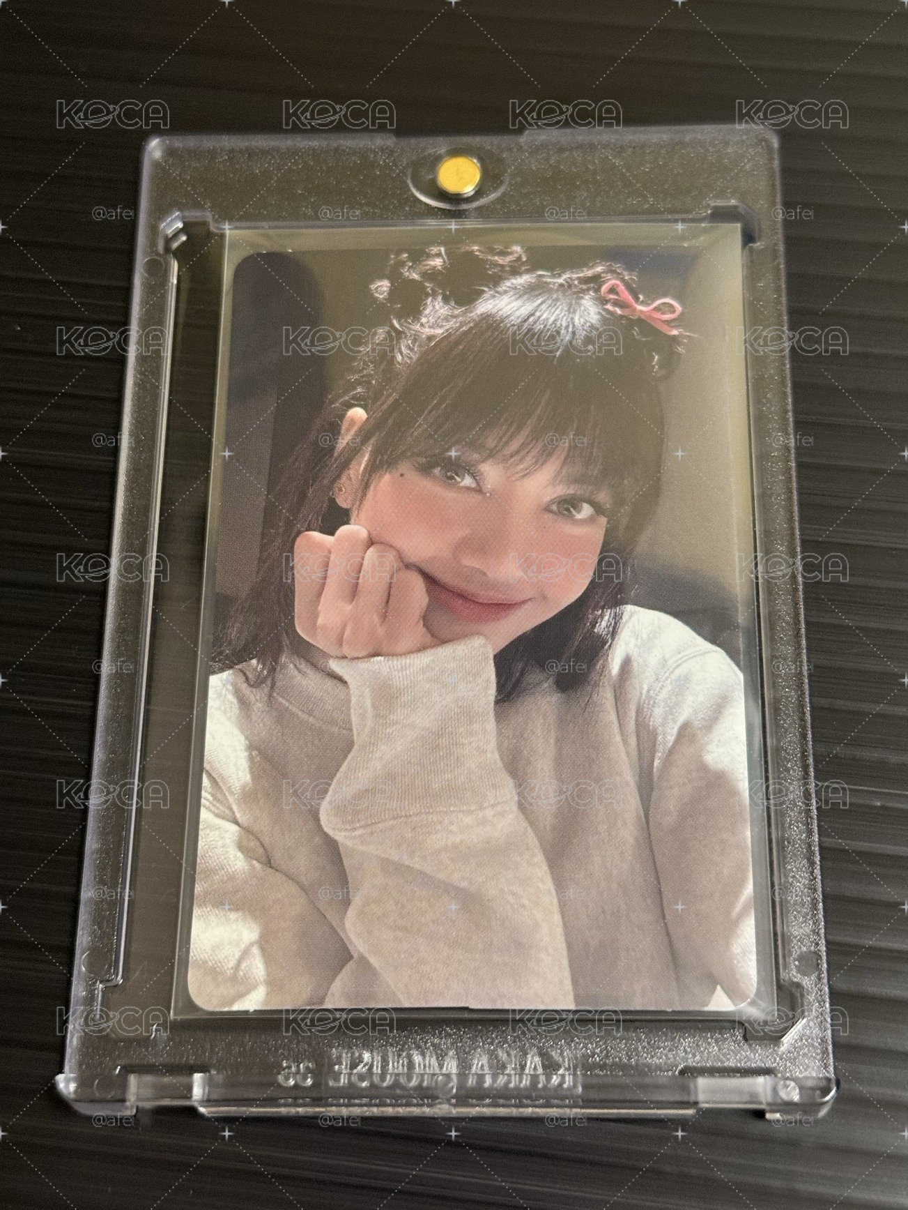 莎 LISA