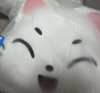 ENCHIN KISHU抱枕 線下快閃店現貨