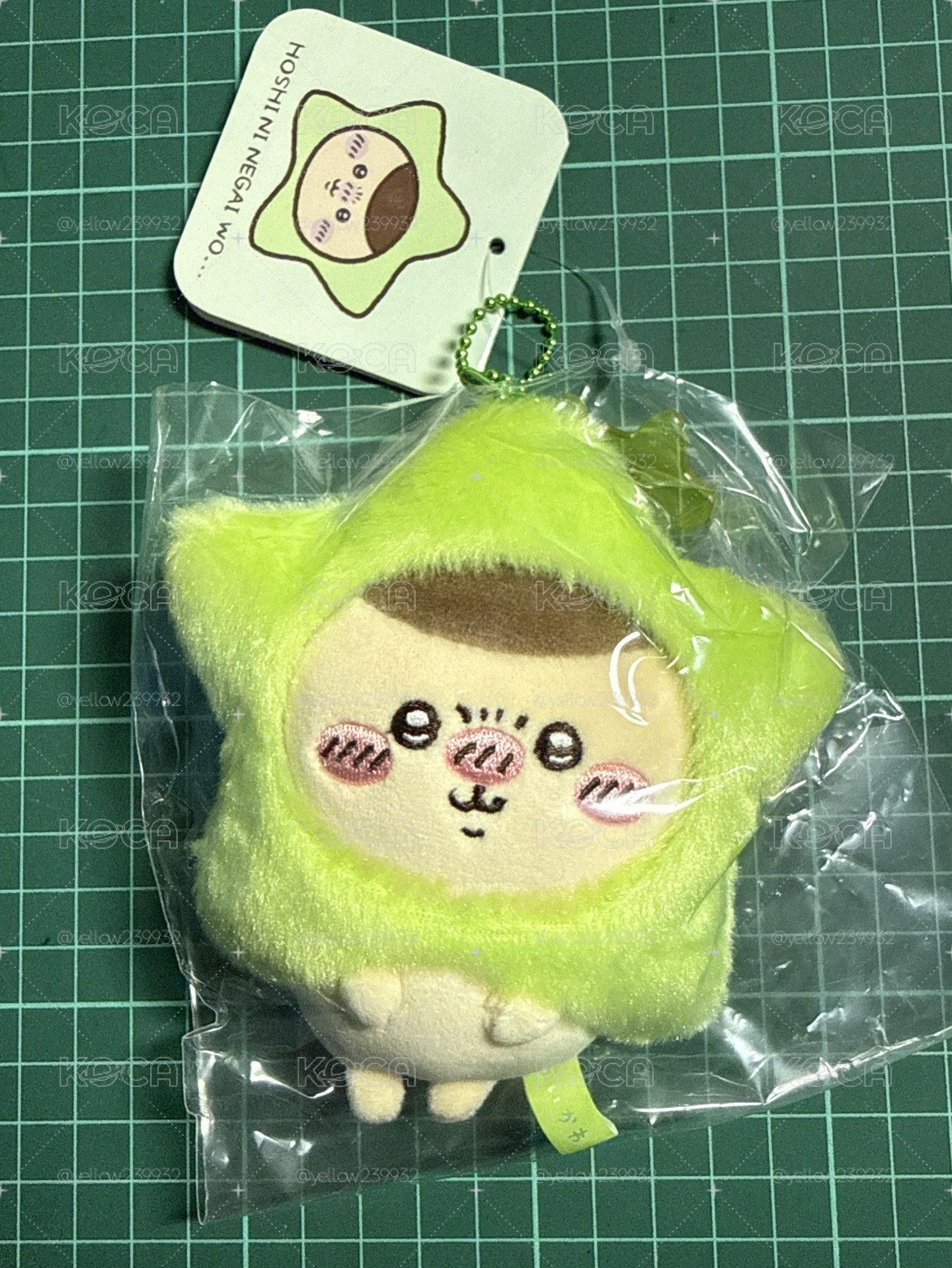 星星 栗子