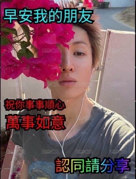 HMV抽選馬