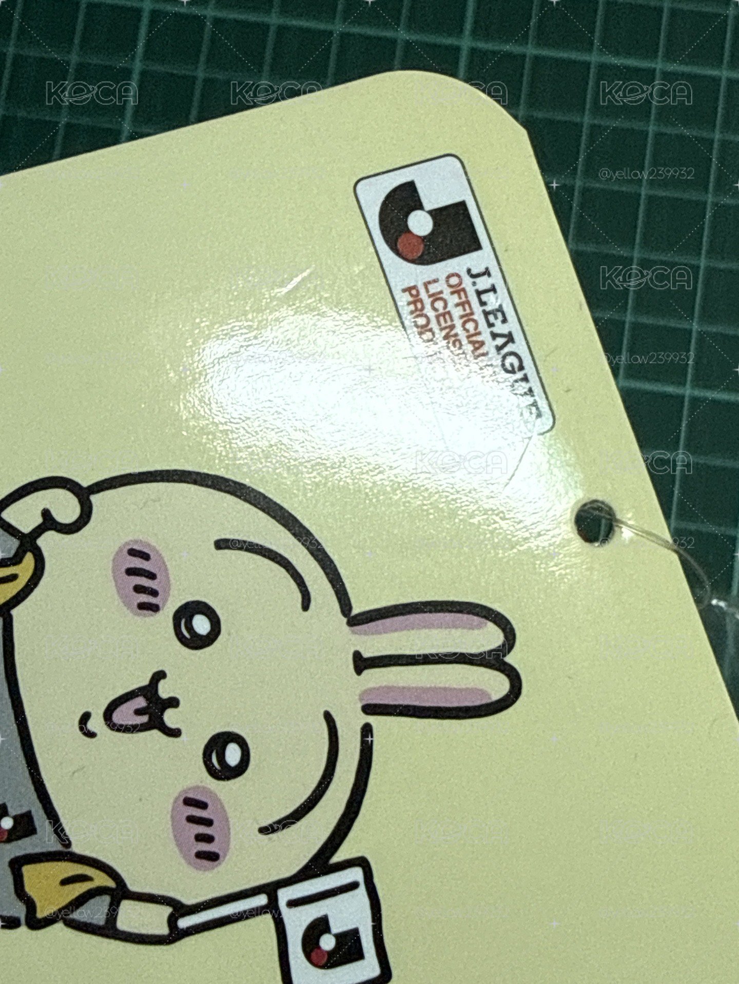 足球兔兔