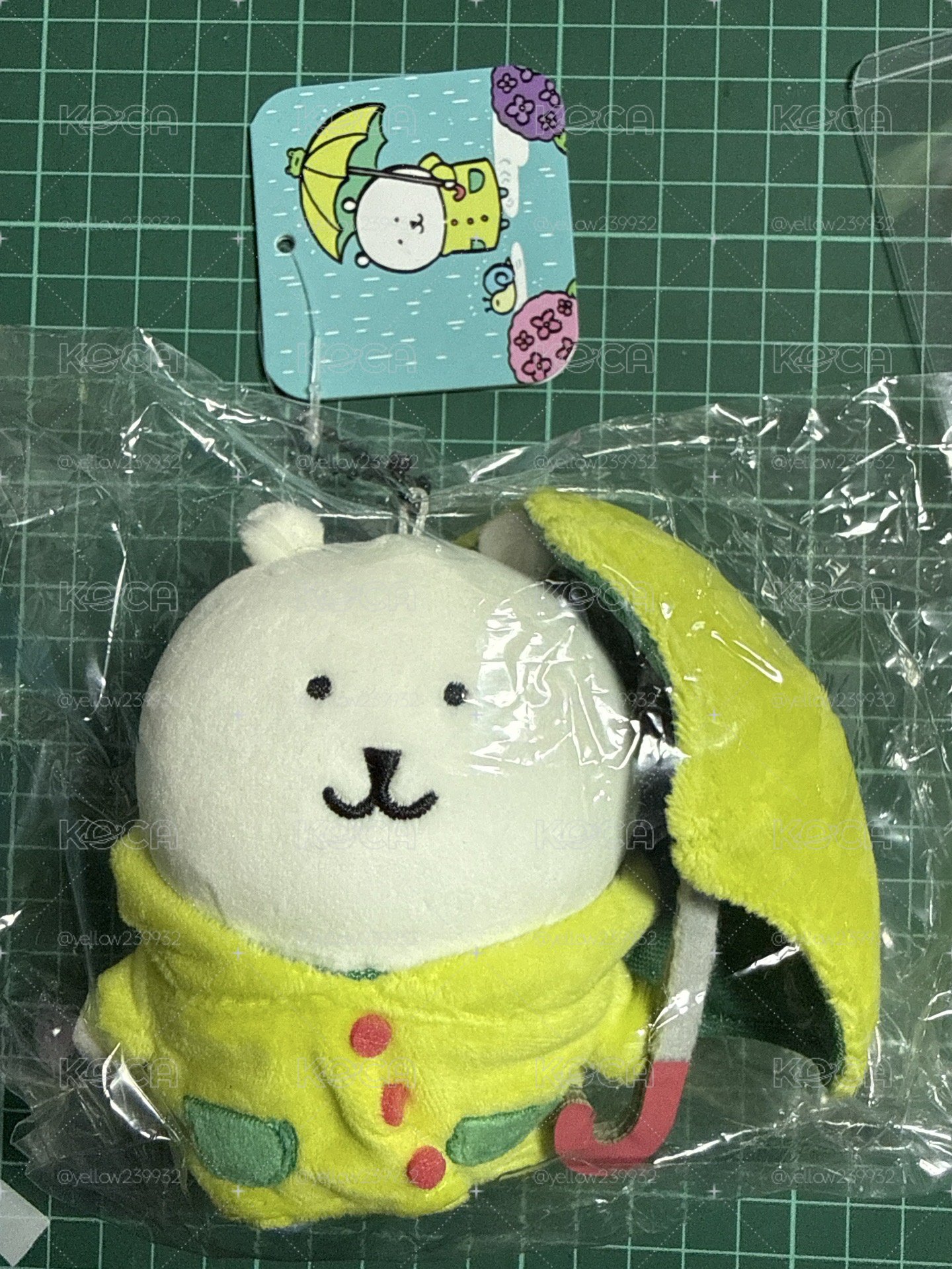 雨衣白熊 