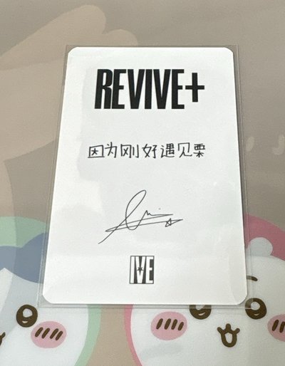 IVE 正規二REVIVE+ 京東特典 中文卡背 栗 京東栗 🌰