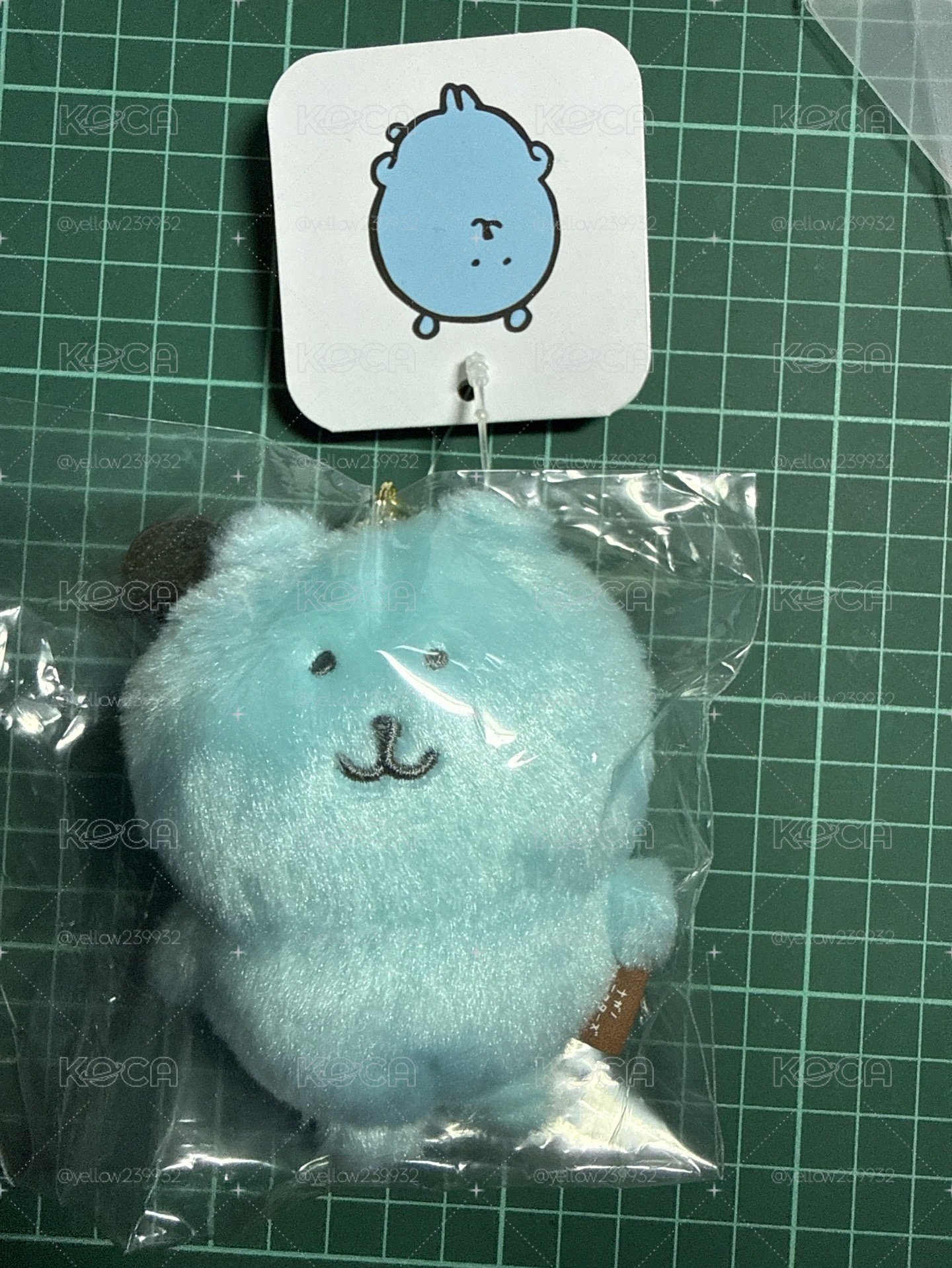 台灣限定 湖水藍 白熊
