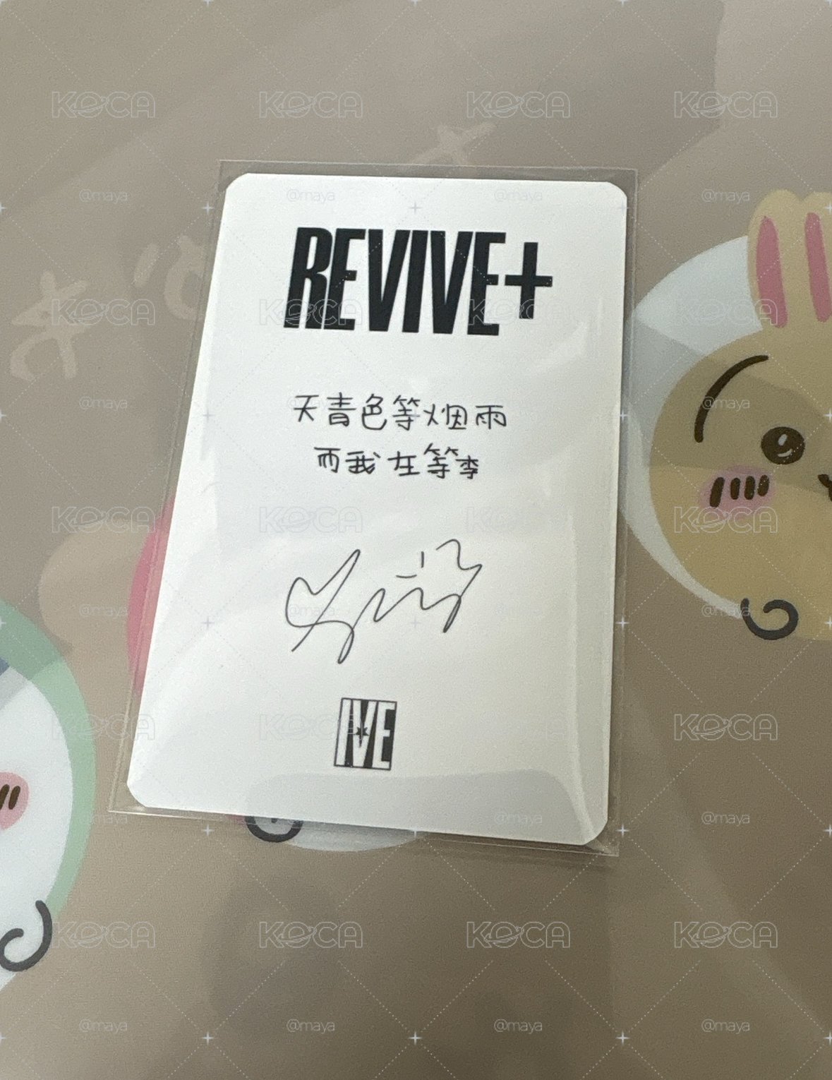 IVE 正規二REVIVE+ 京東特典 中文卡背 瑞  京東瑞 霧面材質