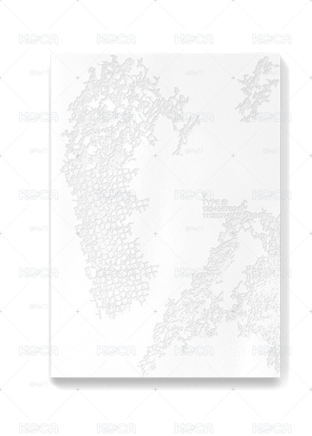 TYPE 非 寫真書