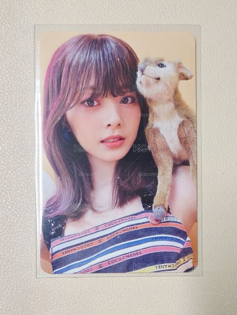 TWICE 迷11 小鹿瑜🦌