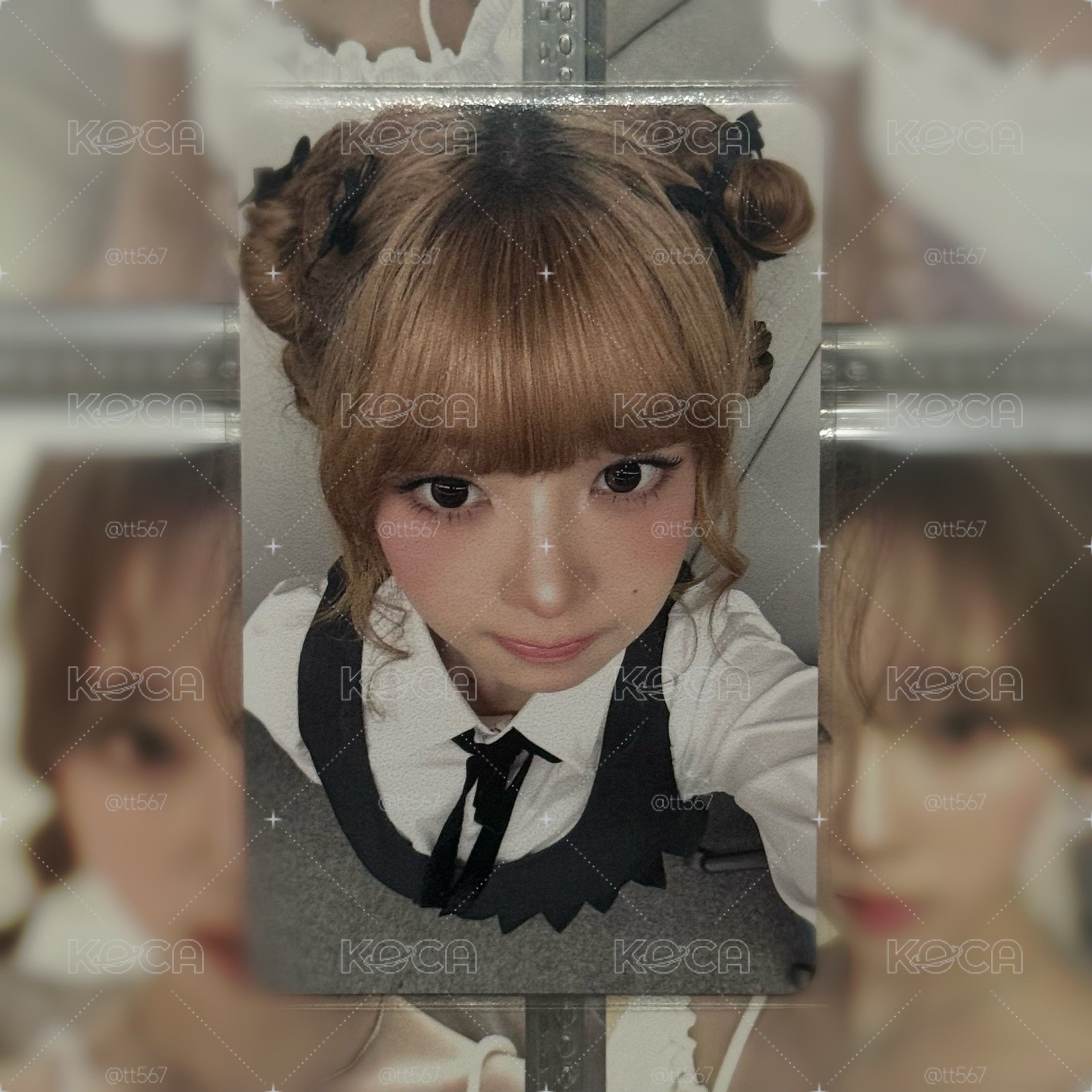 4.18豚鼠怜