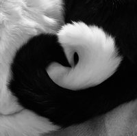 ㅇㅅㅇ