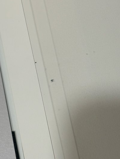 田柾國 個人寫真（無小卡）