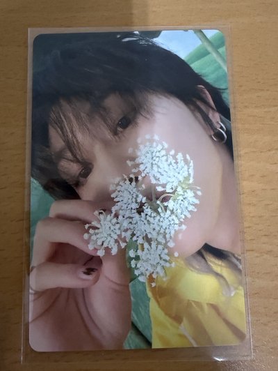 17 迷12隨機卡 八圓秀燦