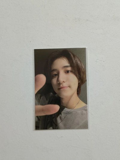 萌萌金桐儇