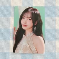 禮服栗（官拍）